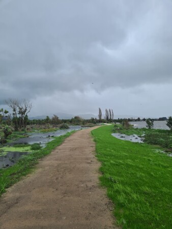 Walkway
