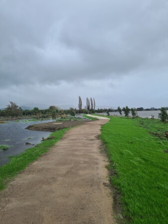 Walkway
