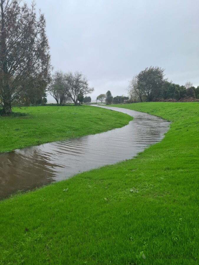 Wetland Channel