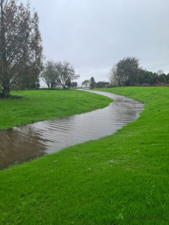 Wetland Channel