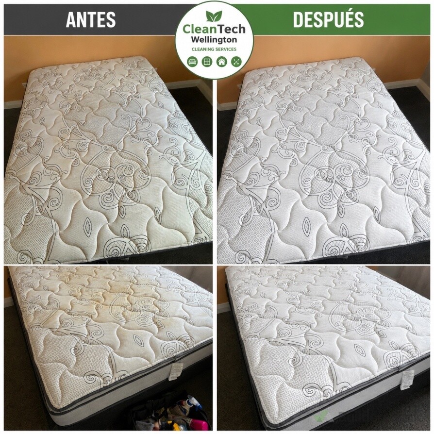 Stains removal