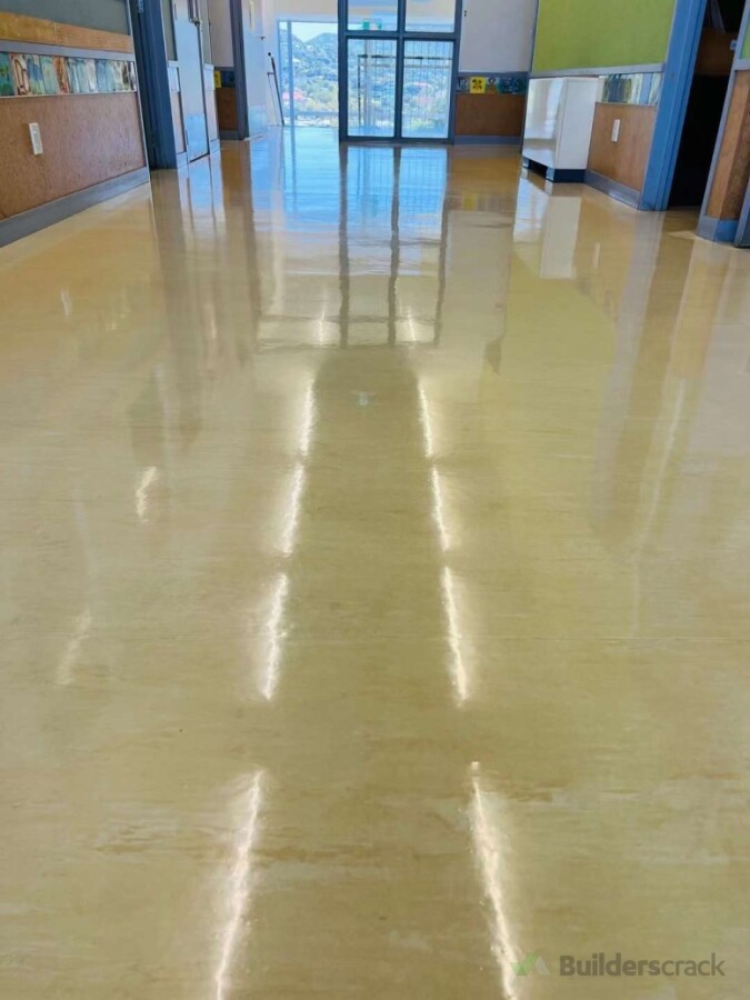 Floor polish