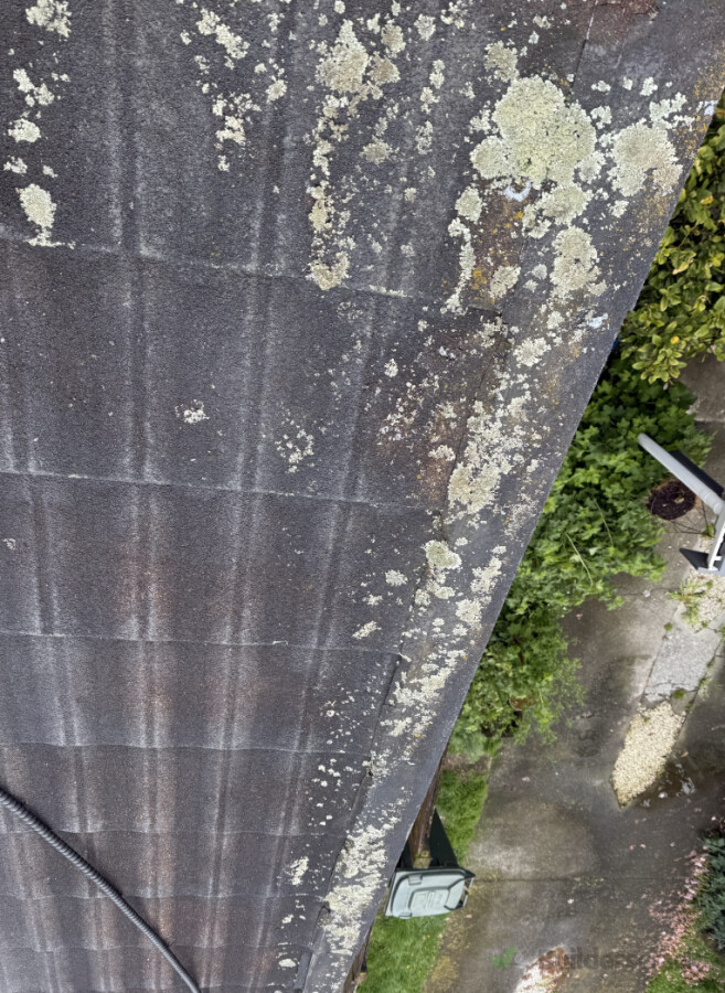 House wash(roof)