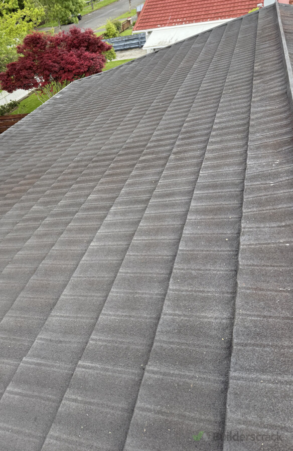 House wash(roof)
