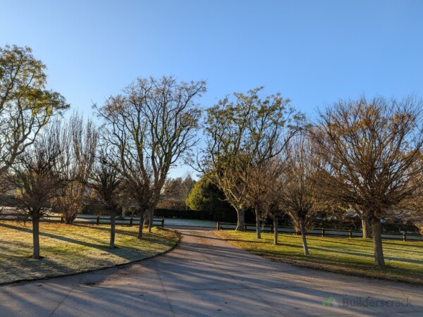 Before pruning.