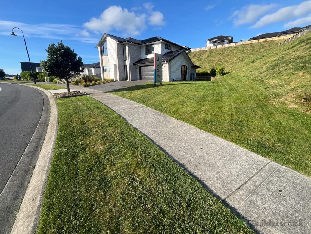 Lawn - After Photos