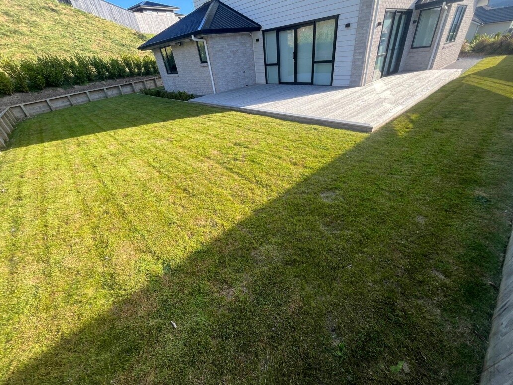 Lawn - After Photos