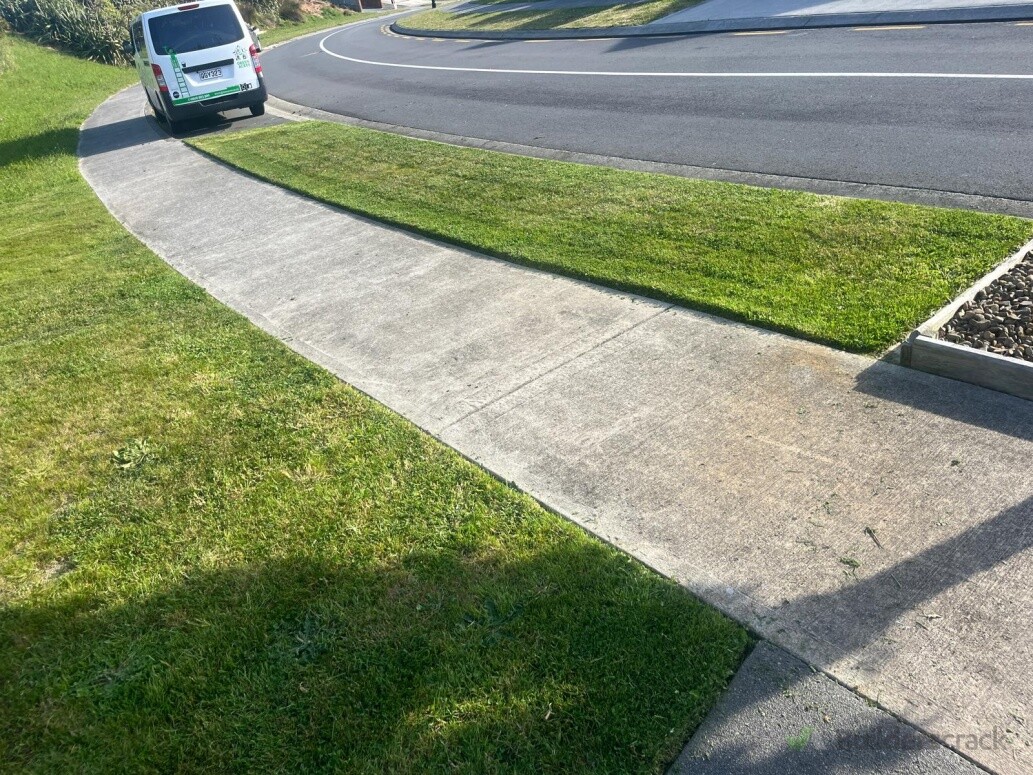 Lawn - After photos