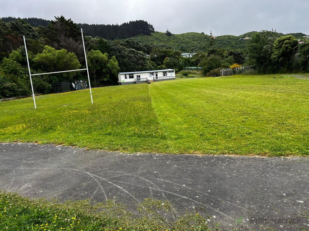 School Lawn - During