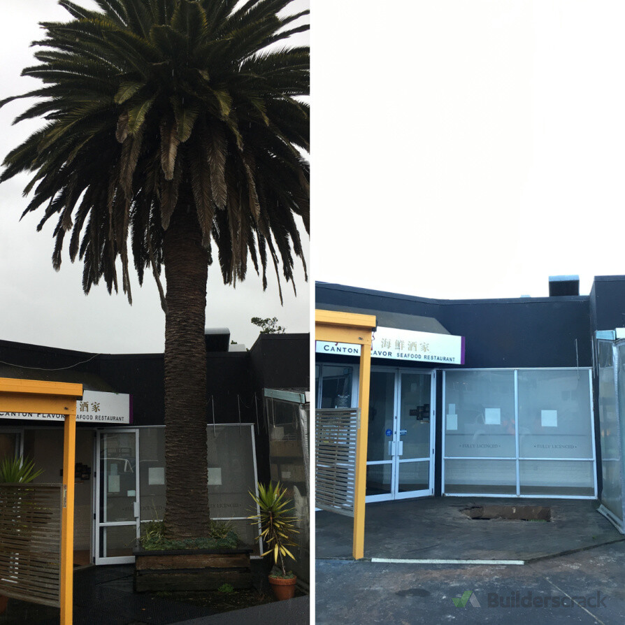 Commercial Palm Removal