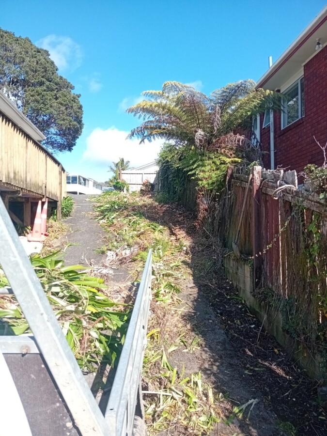 Clearing driveway and trim fence