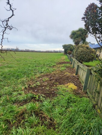 Paddock After