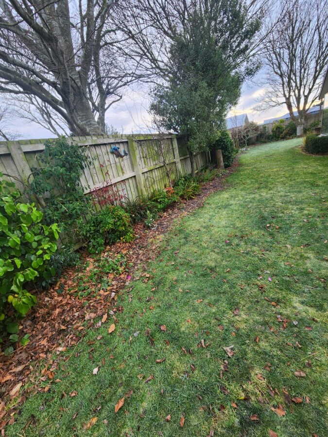 Garden Before 1