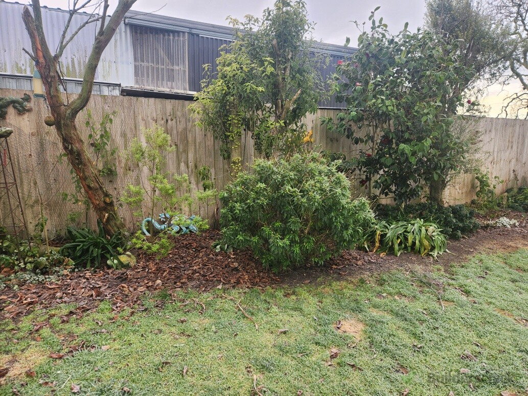 Garden Before 2