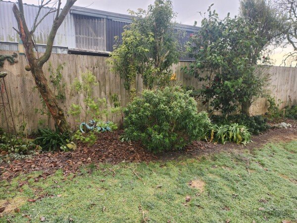 Garden Before 2