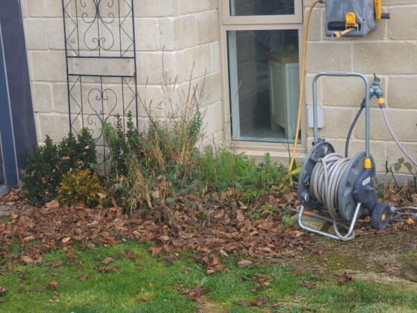 Garden Before 3