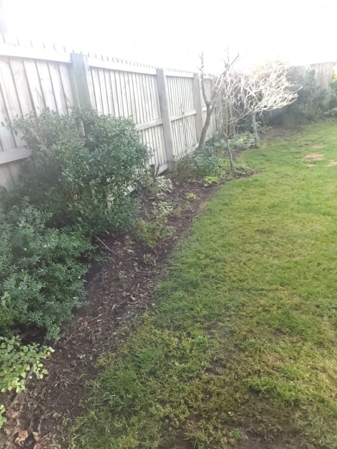 Garden After 1