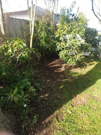 Garden After 2