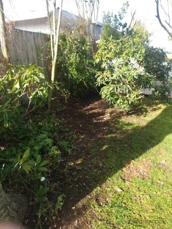 Garden After 2
