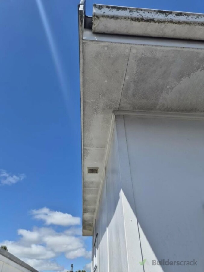 Exterior soffit soft wash.