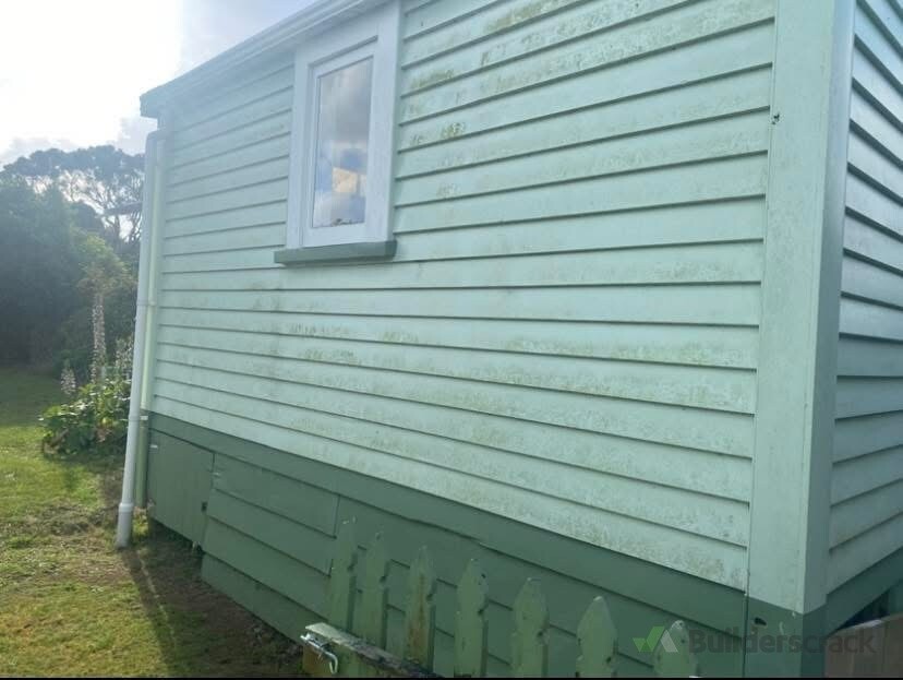 “South-facing walls are prime areas for mould and algae growth
