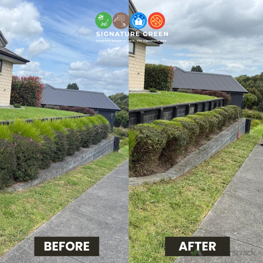 Professional hedge trimming for a clean, tidy finish