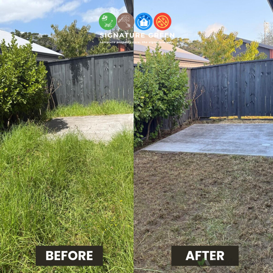 Overgrown lawn mowed and section fully tidied