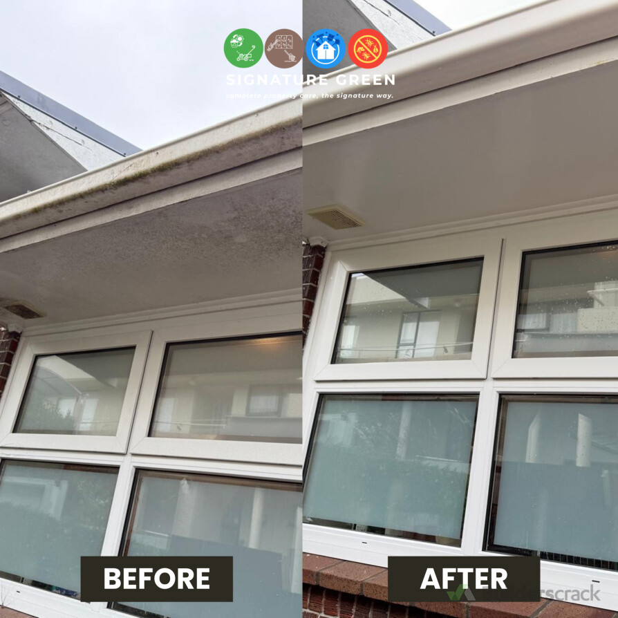 Gutters, fascia and exterior surfaces professionally cleaned