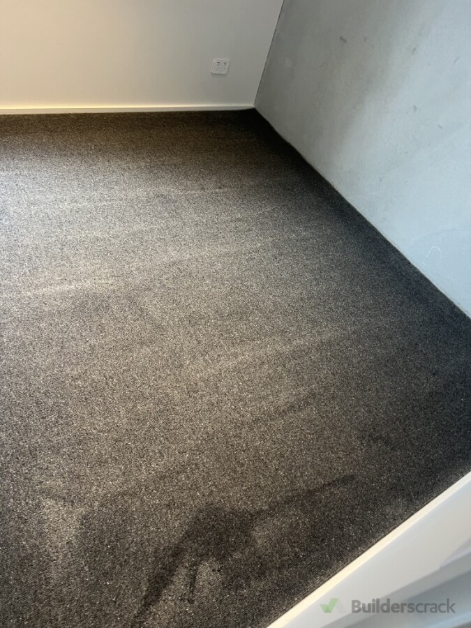 Carpet Shampoo Cleaning