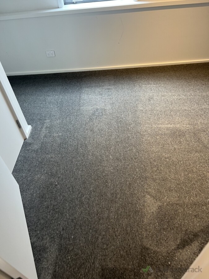 Carpet Shampoo Cleaning