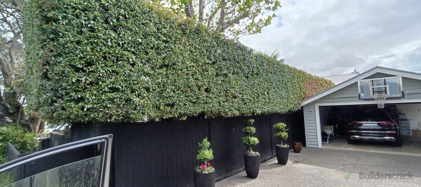 Pretty good hedge