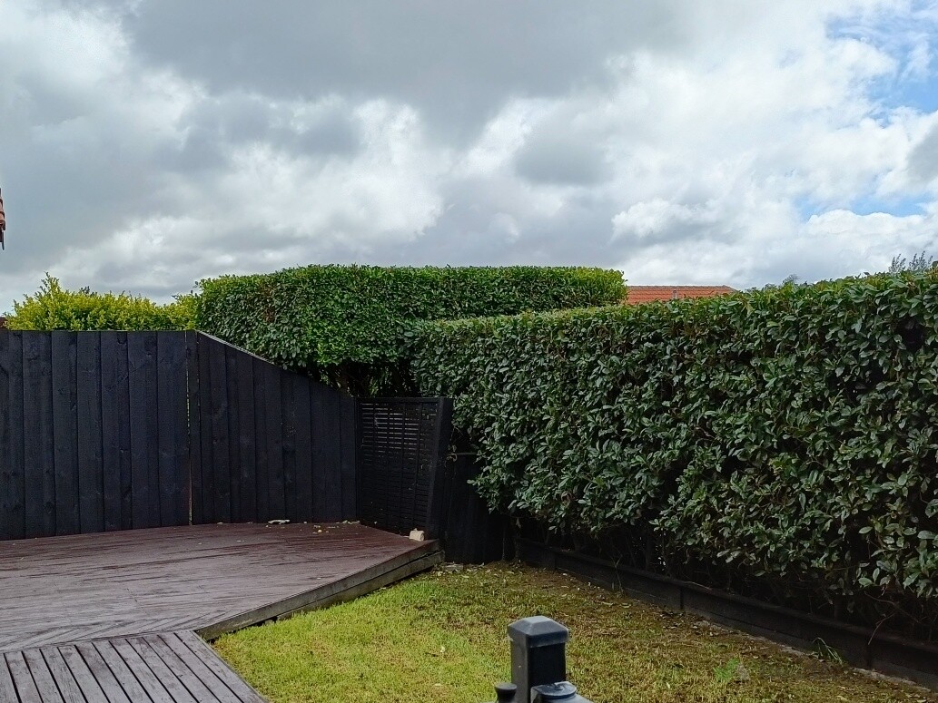 Good hedge