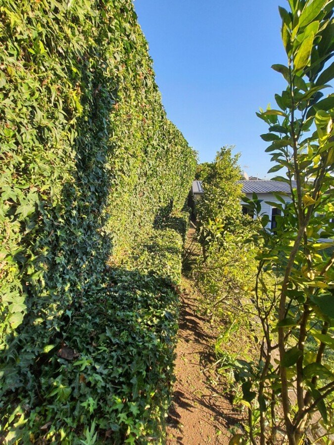 Gardening