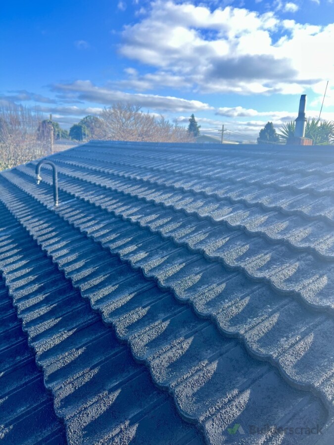 Roof Painting