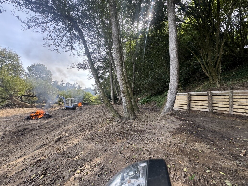 Tree Cleanup and retaining wall builds.