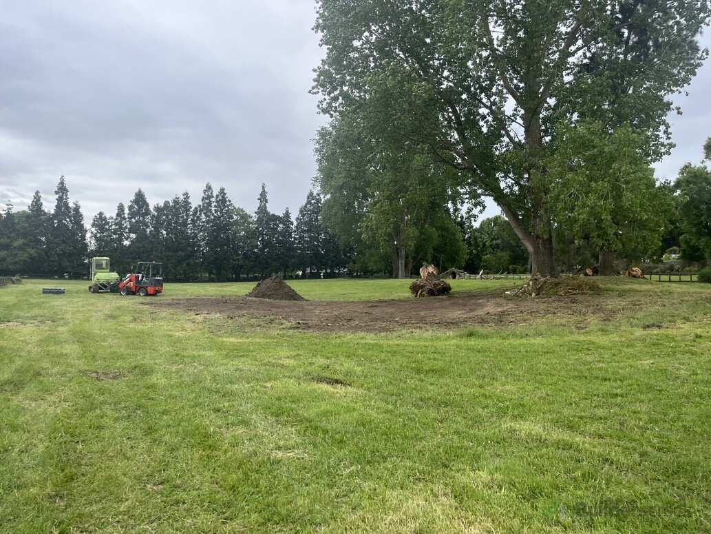 Stump removal