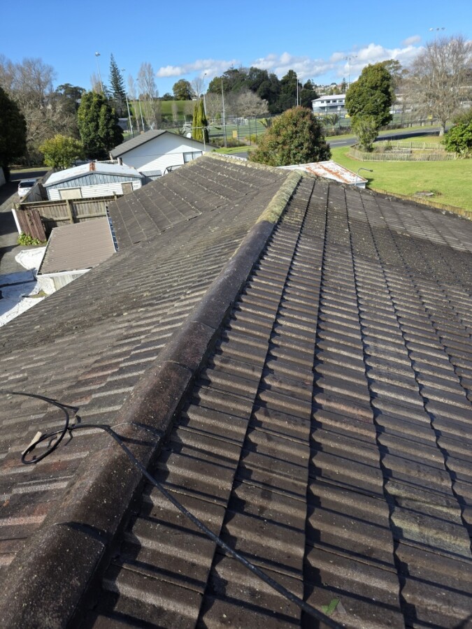 Roof cleaning and painting