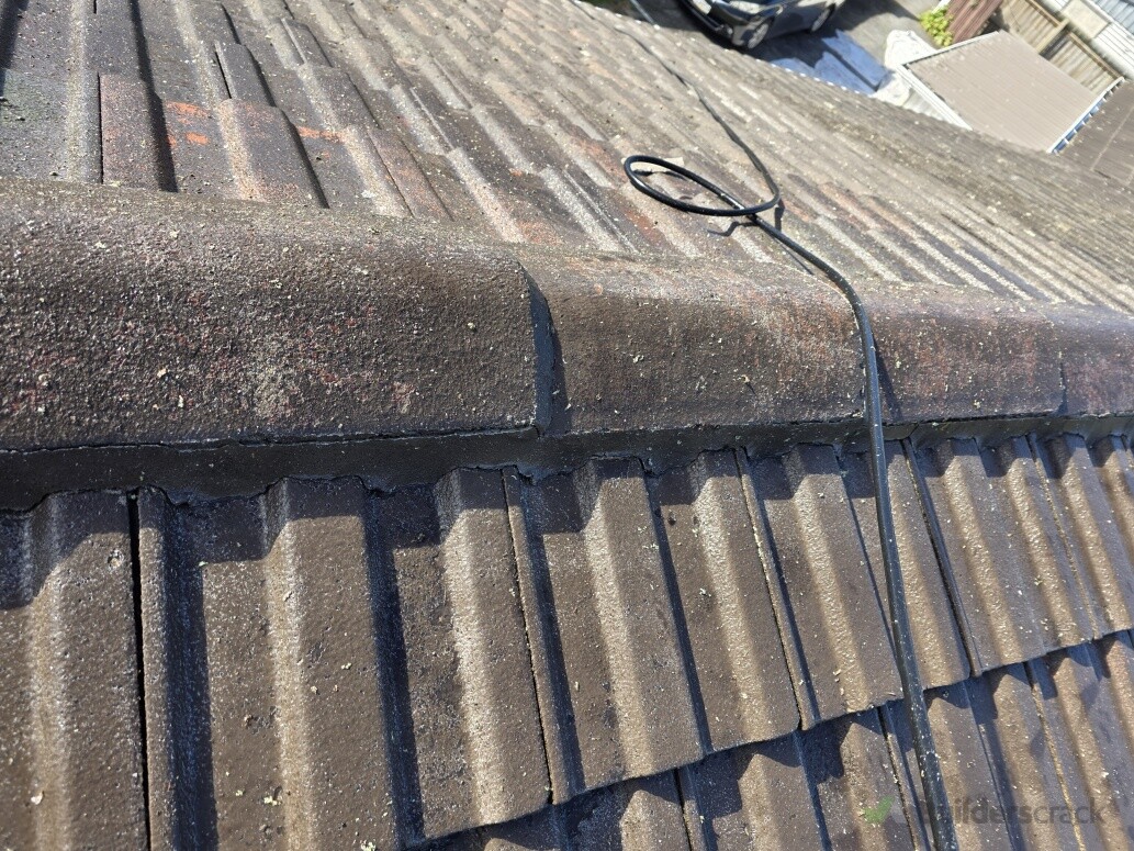 Roof cleaning and repointing,and painting