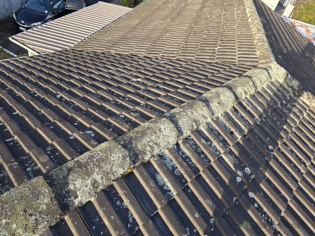 Roof cleaning
