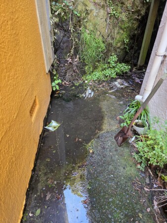 Before