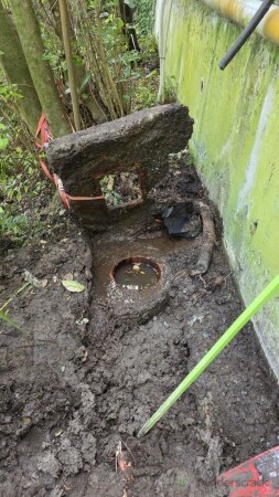 Before