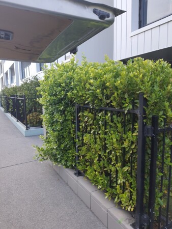 Before