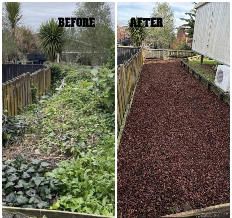 Overgrown vegetation cleared, ground prepared, weed mat installed, and finished with bark mulch for a clean, low-maintenance garden.