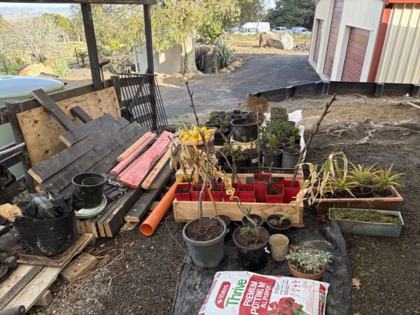 Potting table - before