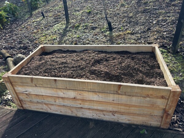 Planter boxes - before