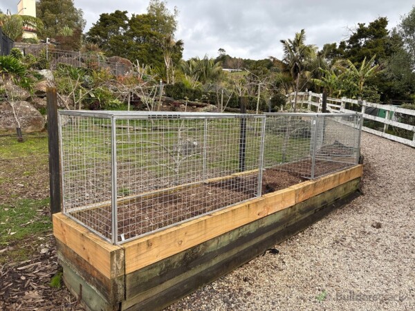 Planter boxes - after
