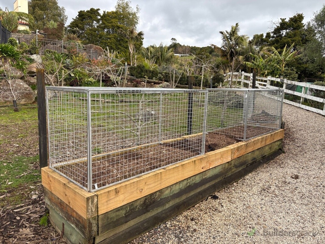 Planter boxes - after