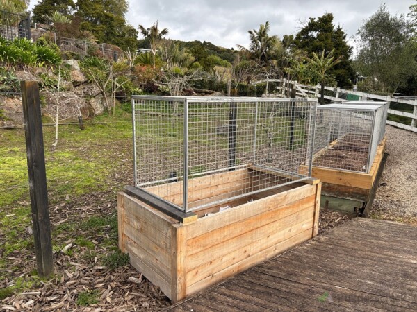 Planter boxes - after