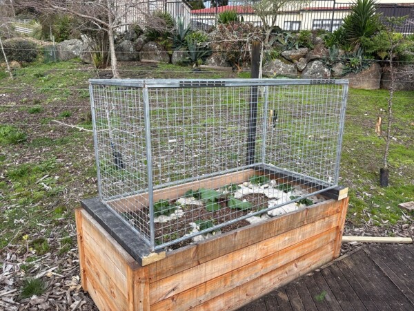 Planter boxes - after