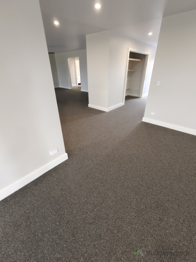 56blm of 8th wonder wool loop carpet
